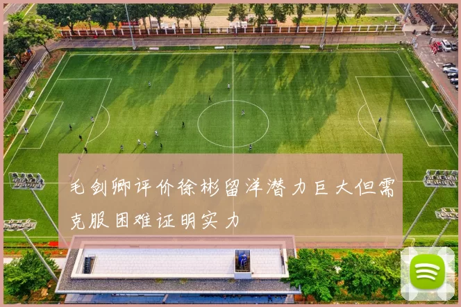 毛剑卿评价徐彬留洋潜力巨大但需克服困难证明实力