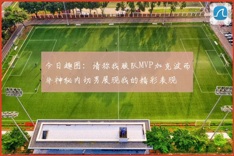 今日趣图：请称我狼队MVP加克波而非神秘内切男展现我的精彩表现
